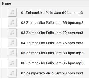 JAM PACK ZEIMPEKIKO PALIO SPEEDS